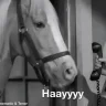 heeeeeeeey