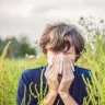 HayFever